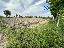 Terreno 10500 mq, zona Badia Polesine