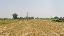 Terreno 14000 mq