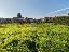 Terreno 430 mq, zona Cavarzere - Centro
