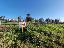 Terreno 1200 mq, zona Cavarzere - Centro