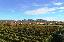 Terreno 890 mq, zona Galzignano Terme