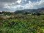 Terreno 4540 mq