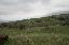 Terreno 2599 mq