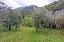 Terreno 18362 mq