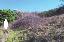 Terreno 11220 mq