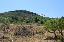 Terreno 25150 mq