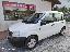 FIAT Panda 1.1 Active