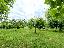 Terreno 1700 mq, zona San Donato