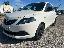 LANCIA Ypsilon 1.0 FireFly 5pS&S Hyb. Eco Silv.