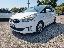 KIA Carens 1.7 CRDi 115 CV Cool