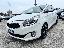 KIA Carens 1.7 CRDi 136 CV Auto Class