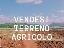 Terreno 40000 mq, zona Moniego