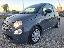FIAT 500 1.0 Hybrid Cult