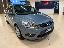 FORD Focus 1.6 Ti-VCT 115CV 5p. Tit.