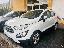 FORD EcoSport 1.0 EcoBoost 100 CV Plus