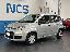 FIAT Panda 1.2 Easy 69CV S&S