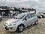 FIAT Punto Evo 1.3 Mjt 75 CV 5p. S&S Dynamic