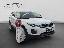LAND ROVER RR Evoque 2.0 TD4 150 CV 5p. Bs Ed. Pure
