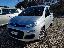 FIAT Panda 1.2 EasyPower Lounge