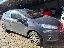 FORD Fiesta 1.5 TDCi 75CV 5p. Bl. & White Ed.
