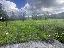 Terreno 6835 mq, zona Sarroch