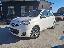 NISSAN Micra 1.2 12V 5p. Visia Young