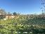 Terreno 160 mq