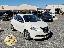 LANCIA Ypsilon 1.2 69 CV 5p. Elle