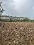 Terreno 4500 mq, zona Giunture