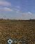 Terreno 29000 mq