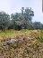Terreno 4930 mq, zona Palombara Sabina