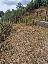 Terreno 1000 mq