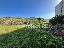 Terreno 4500 mq, zona Pellaro